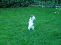 Klik op de foto voor groter formaat